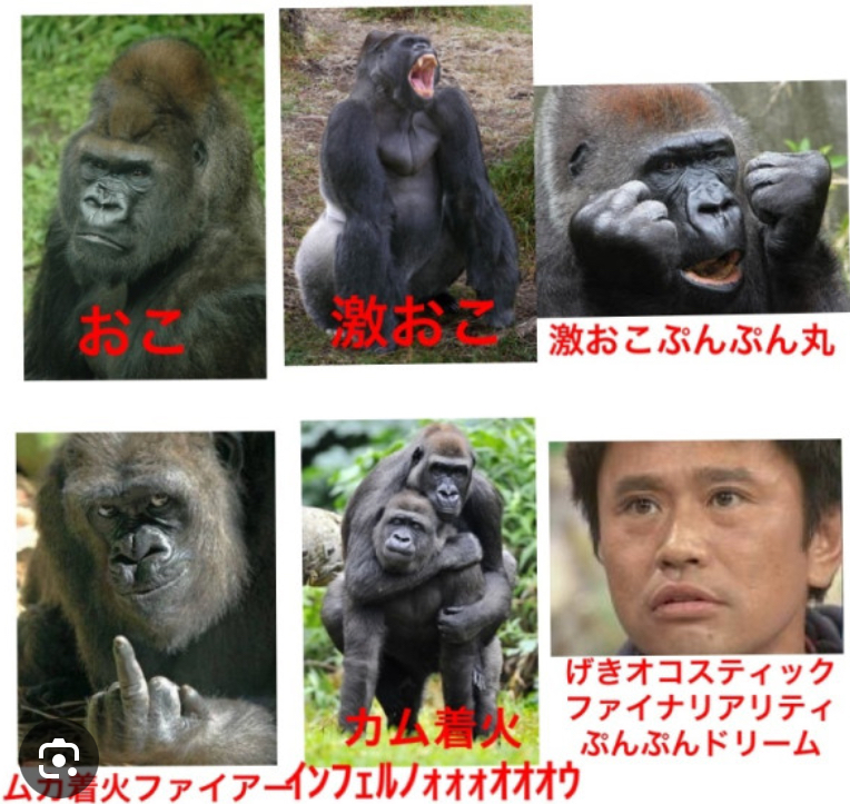 コメントするだけ